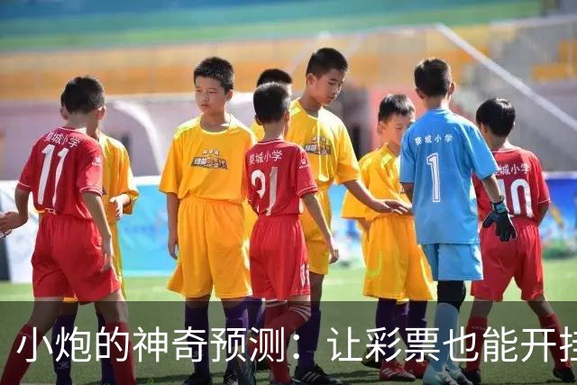 小炮的神奇预测：让彩票也能开挂的秘密武器