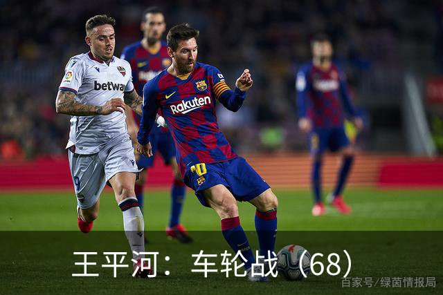 王平河：车轮战（6/8）