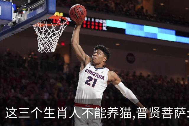 这三个生肖人不能养猫,普贤菩萨:不是养不起,是相生相克,因果相撞